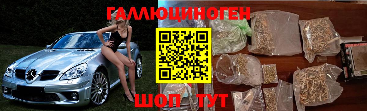 Галлюциногенные грибы Psilocybe Белорецк